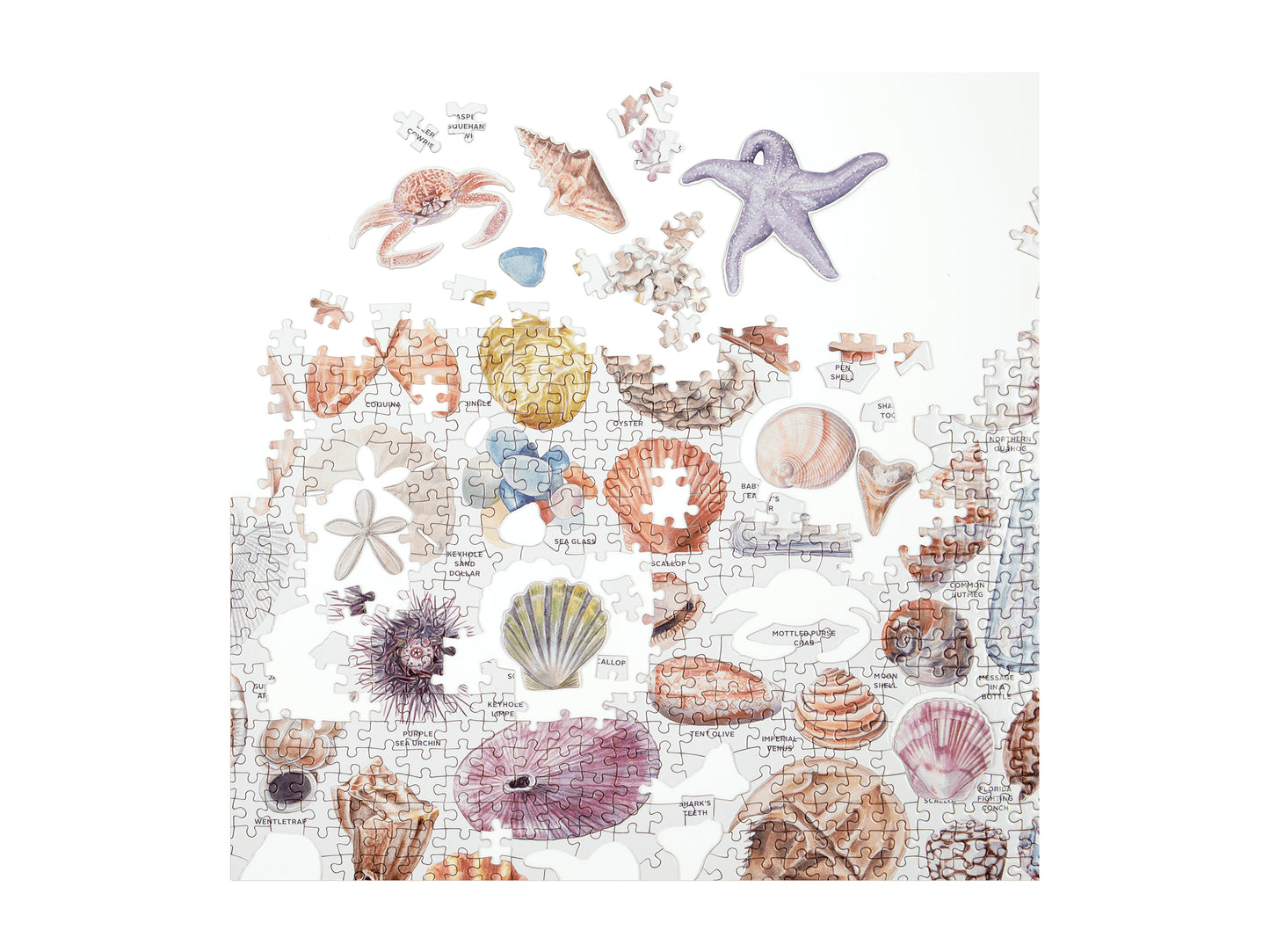 The Beachcomber's Companion 1000 Piece Puzzle With Shaped Pieces