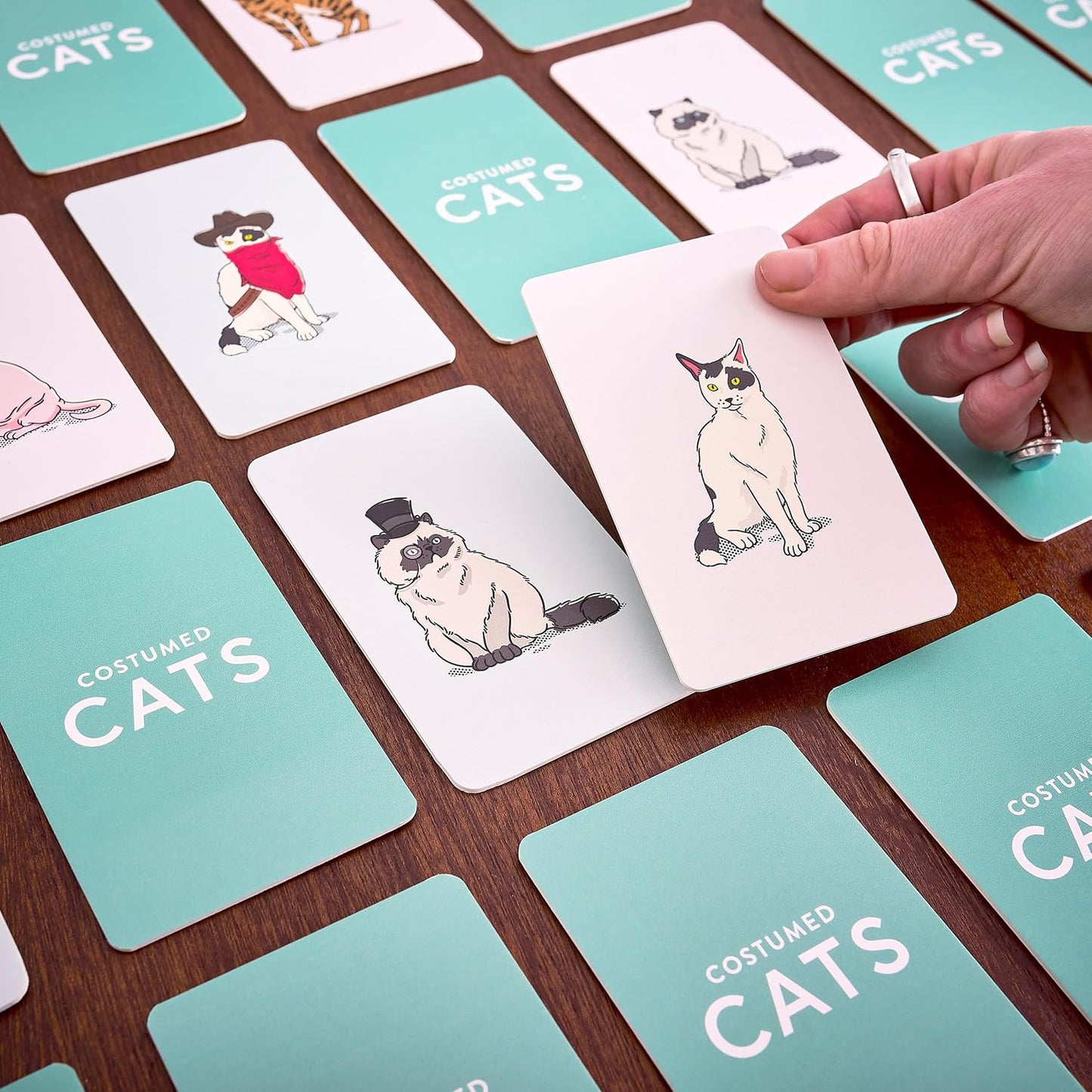 Costumed Cats