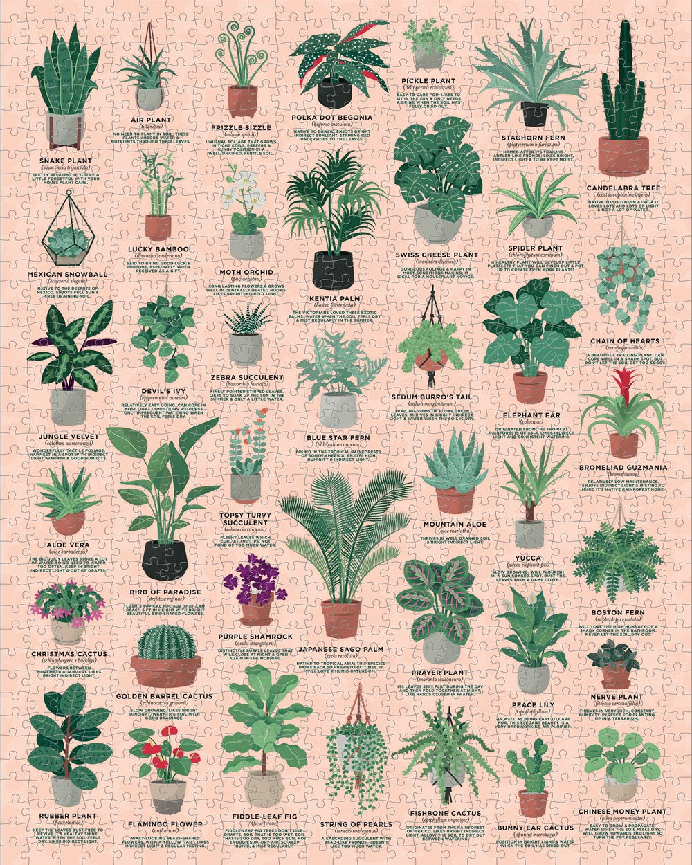 House of Plants - 1000 Piece Jigsaw Puzzle