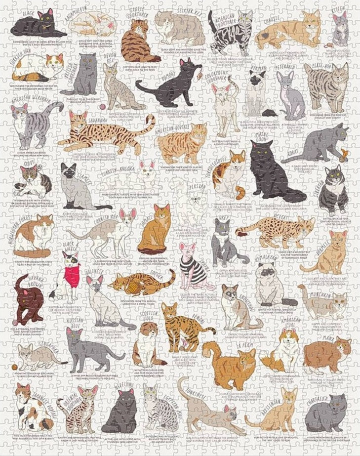 Cat Lover's - 1000 Piece Jigsaw Puzzle