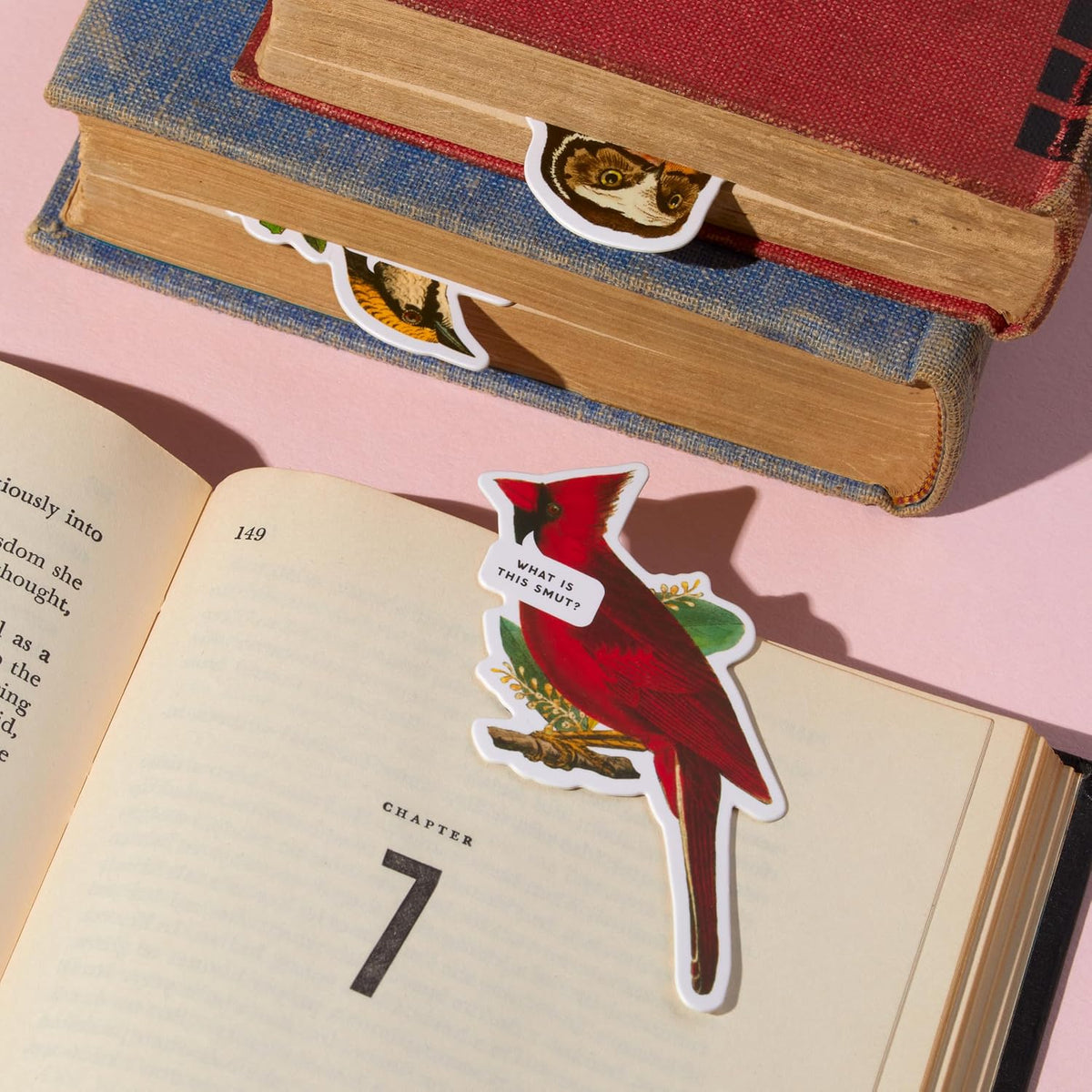 Salty Birds Magnetic Bookmark Set
