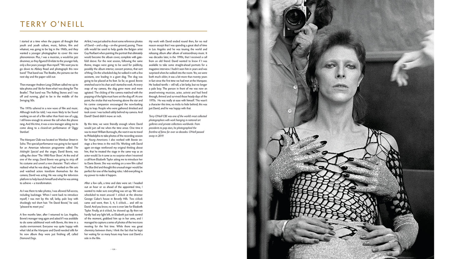 David Bowie - Icon