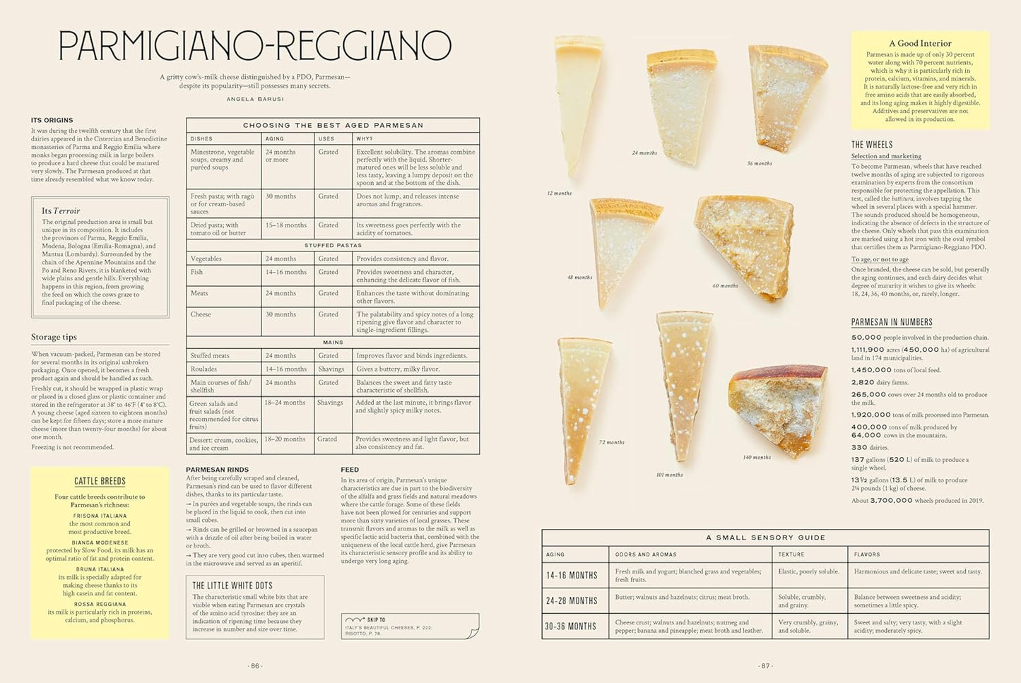 Let's Eat Italy!