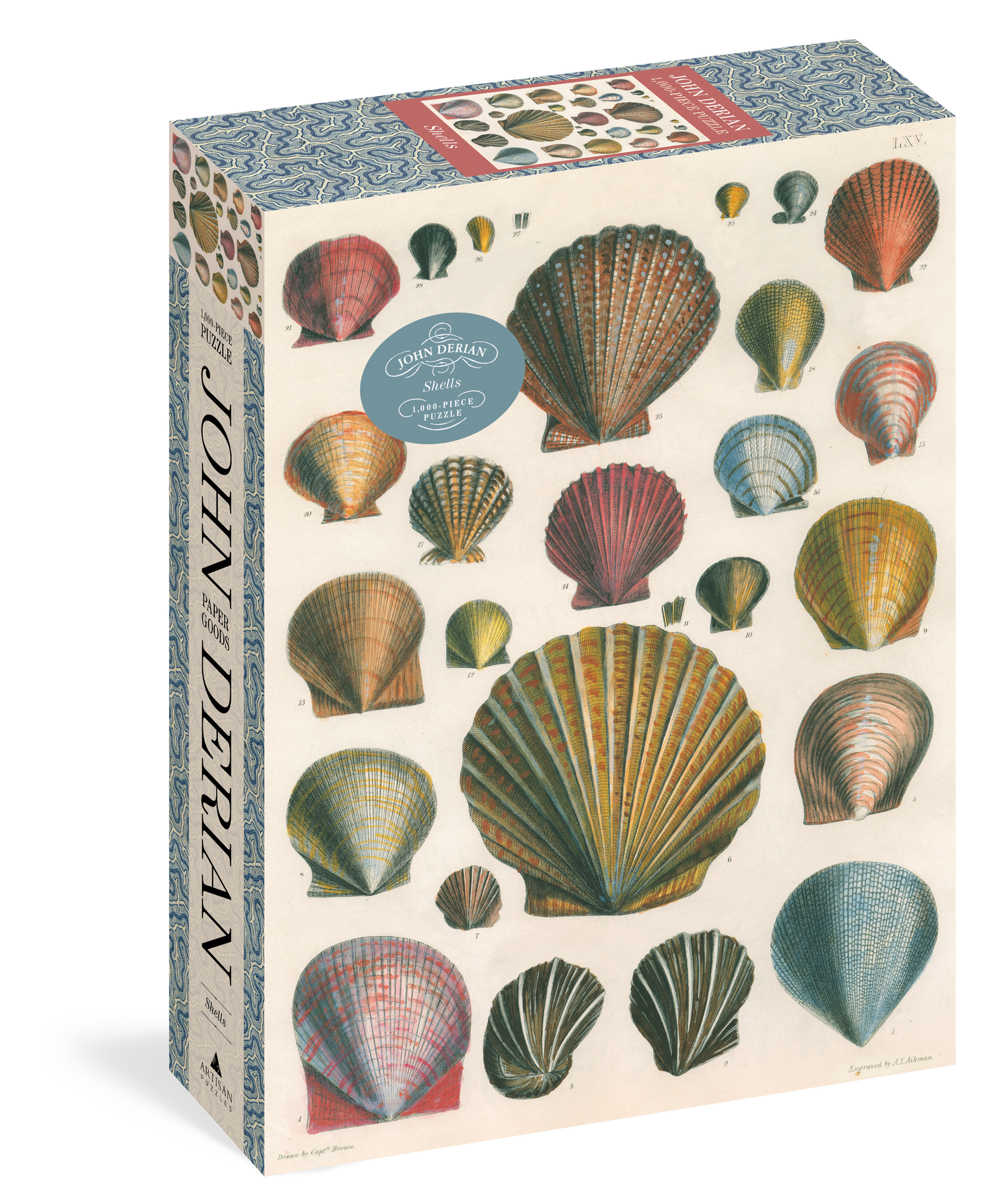 Shells - John Derian - 1000 Piece Puzzle