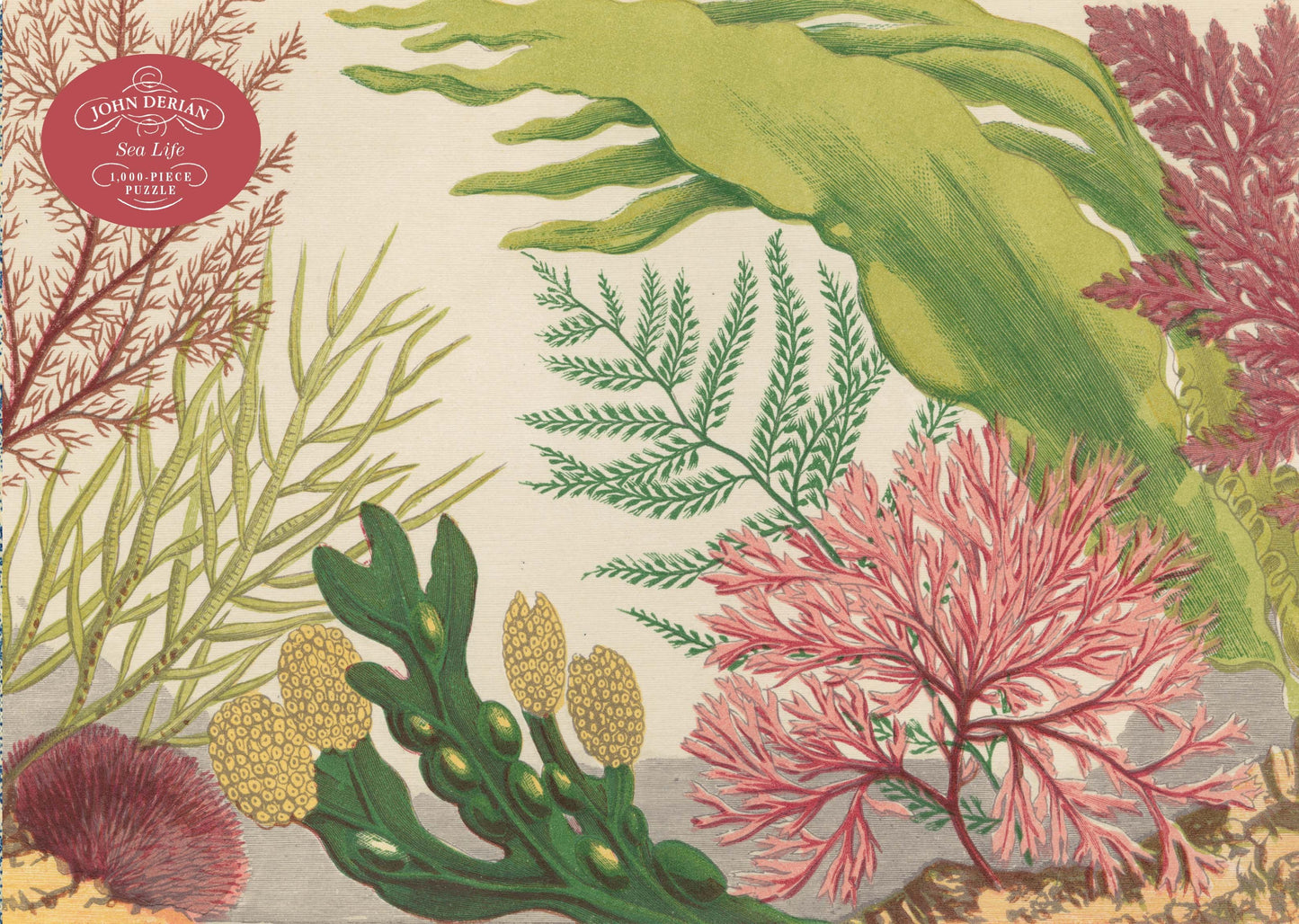 Sea Life - John Derian - 1000 Piece Puzzle