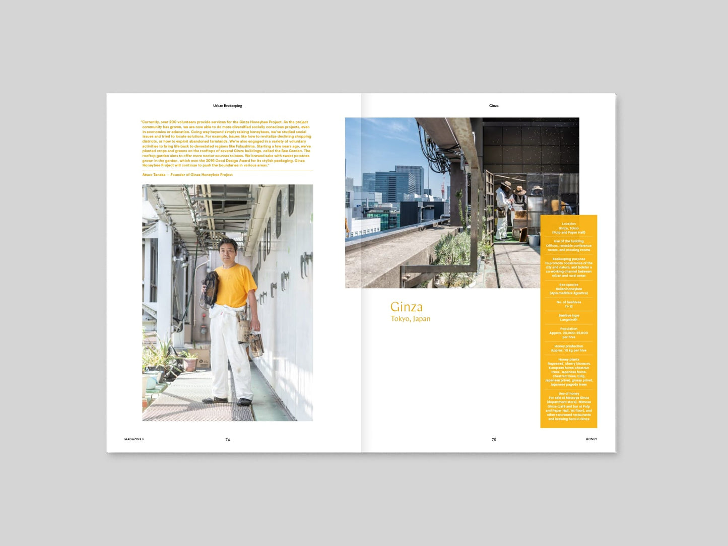 Magazine F Issue 08 HONEY