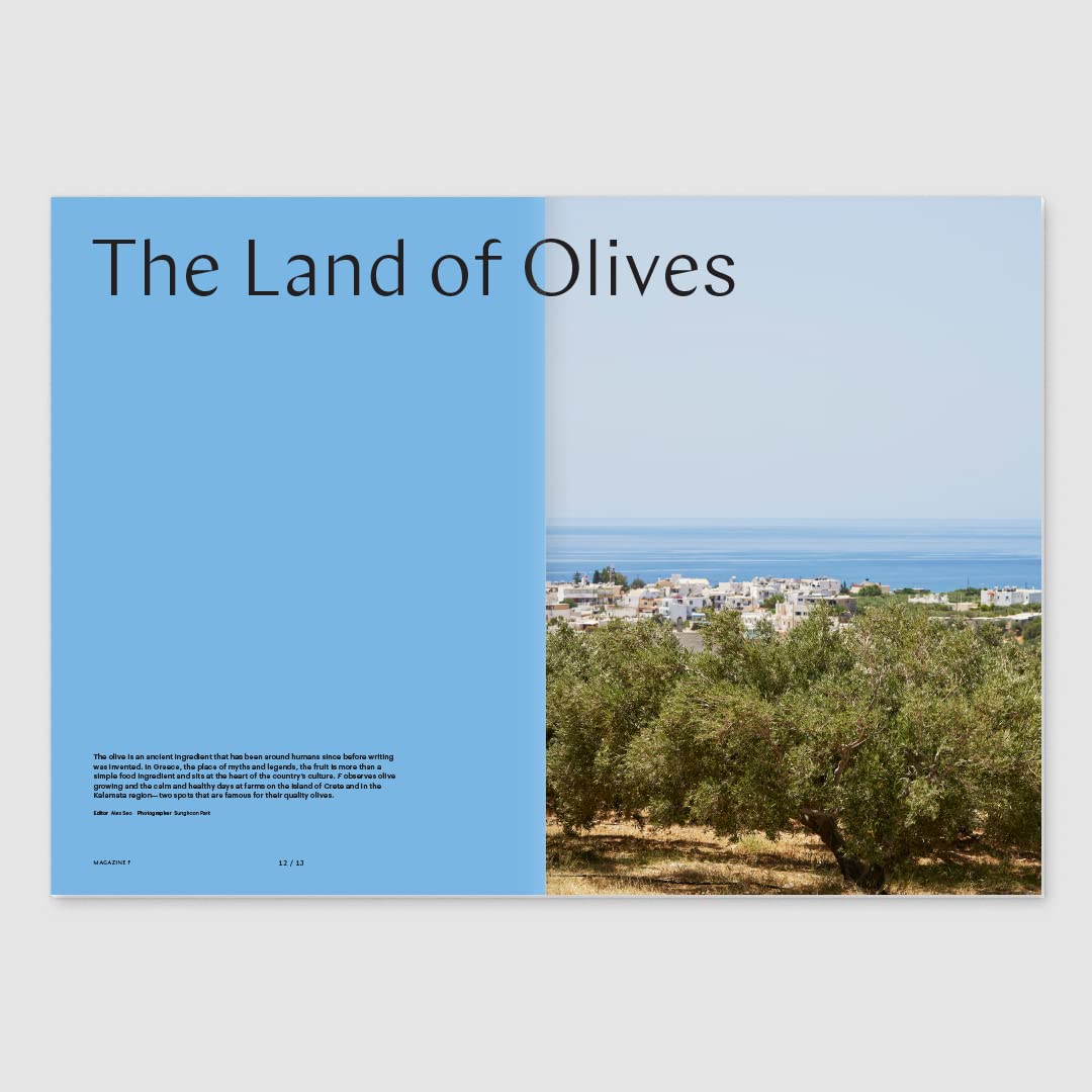 Magazine F Issue 22 OLIVE