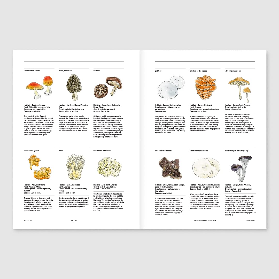 Magazine F Issue 23 MUSHROOM