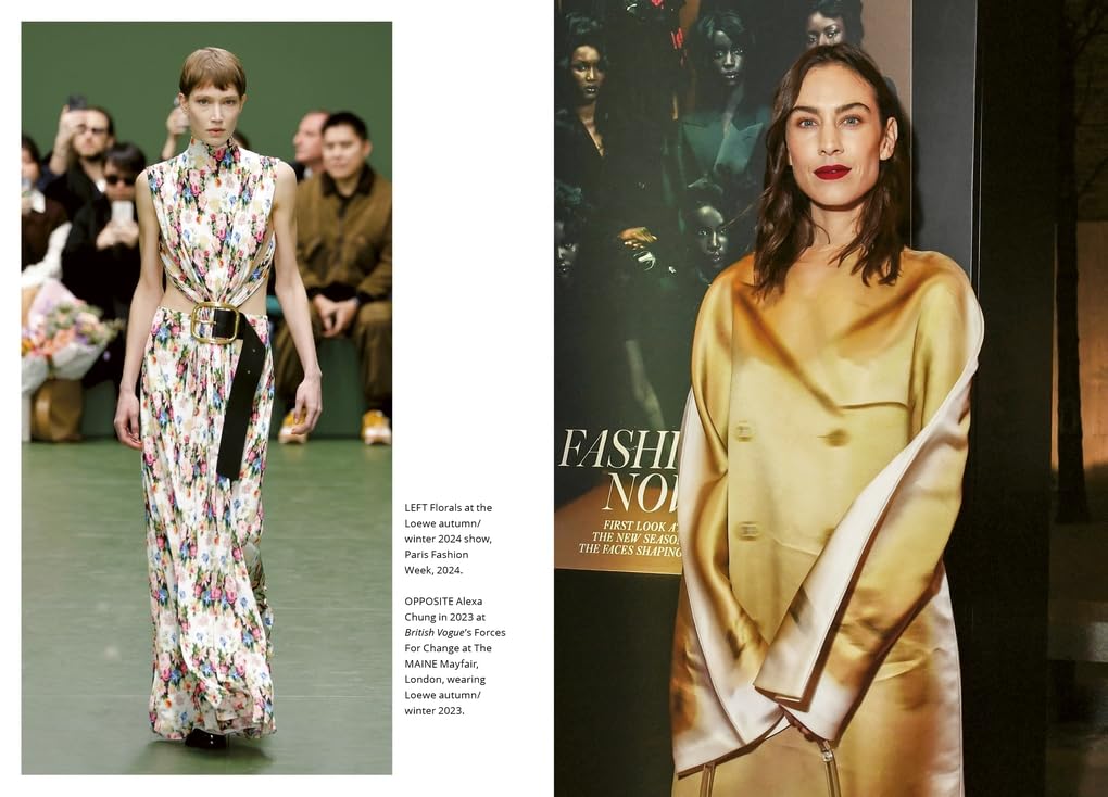 Little Book of Loewe