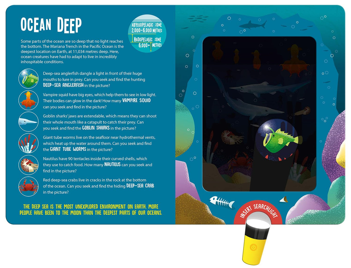 Magic searchlight - Ocean Animals