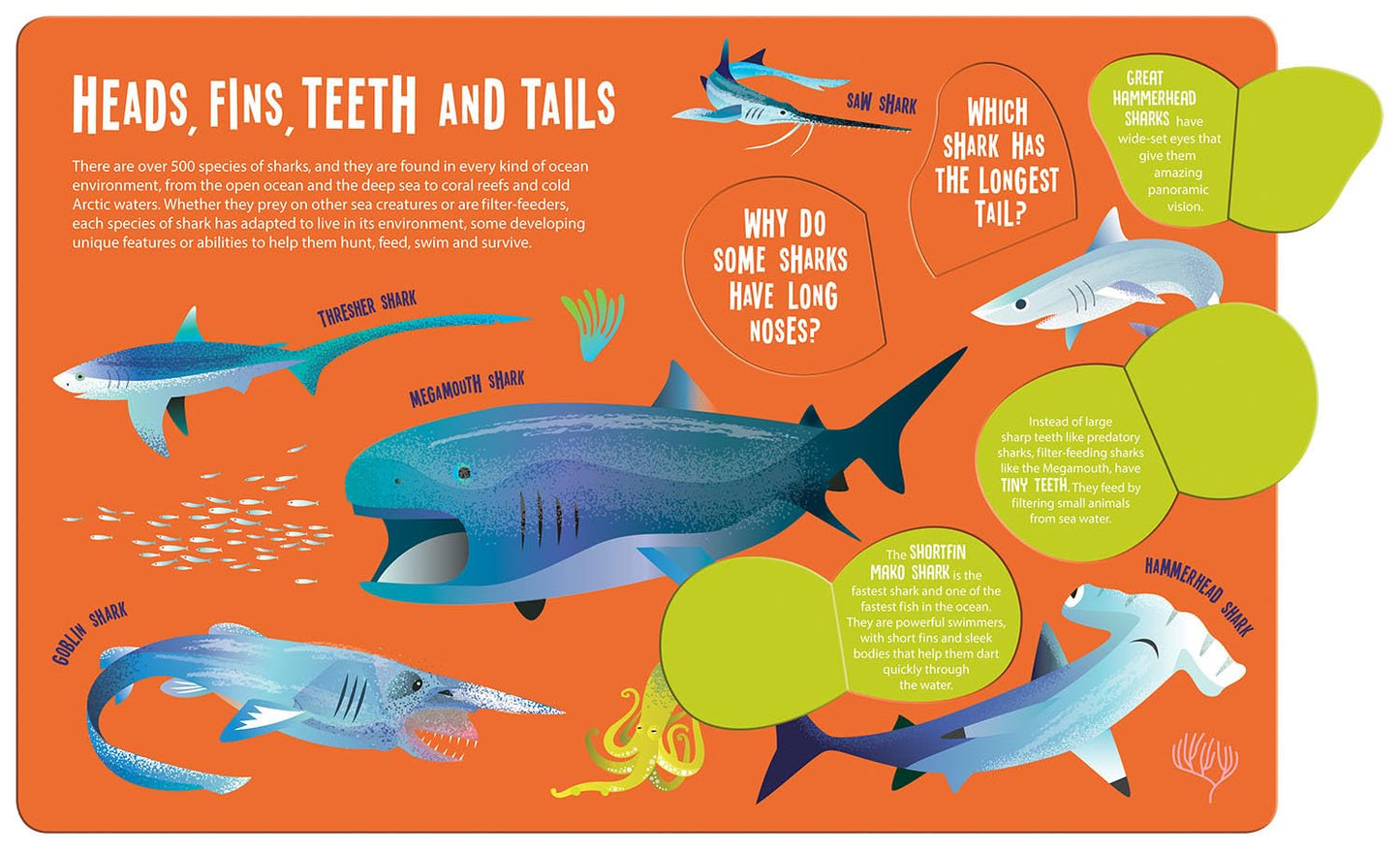 Magic searchlight - Sharks