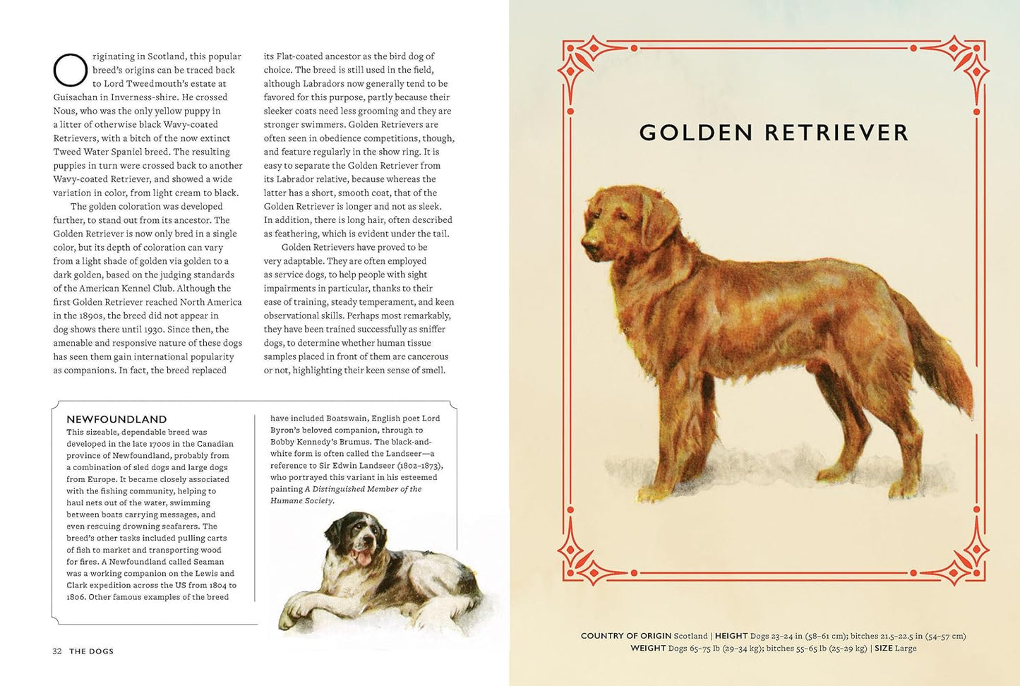 Vintage Dogs
