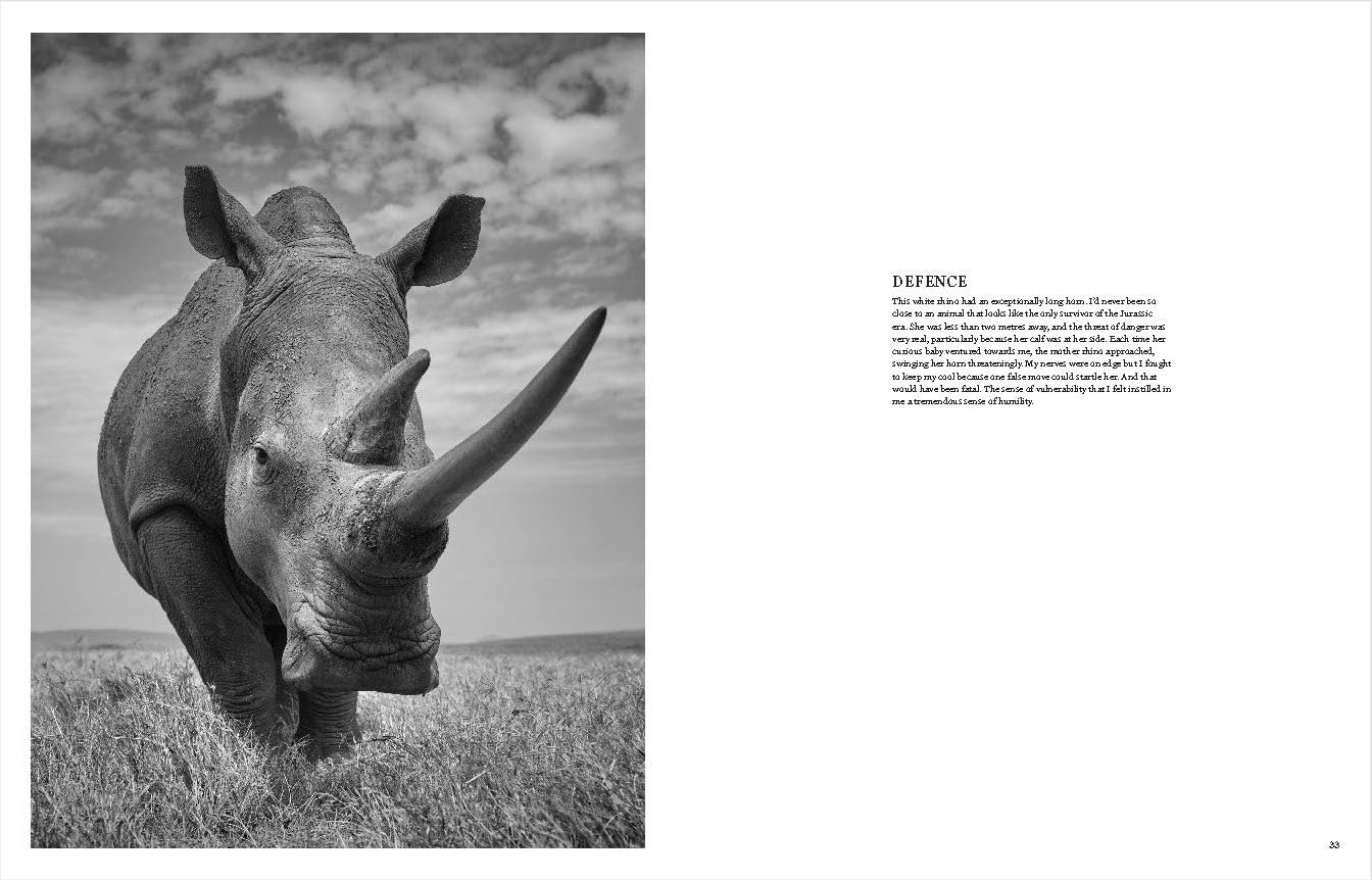 True Wildlife