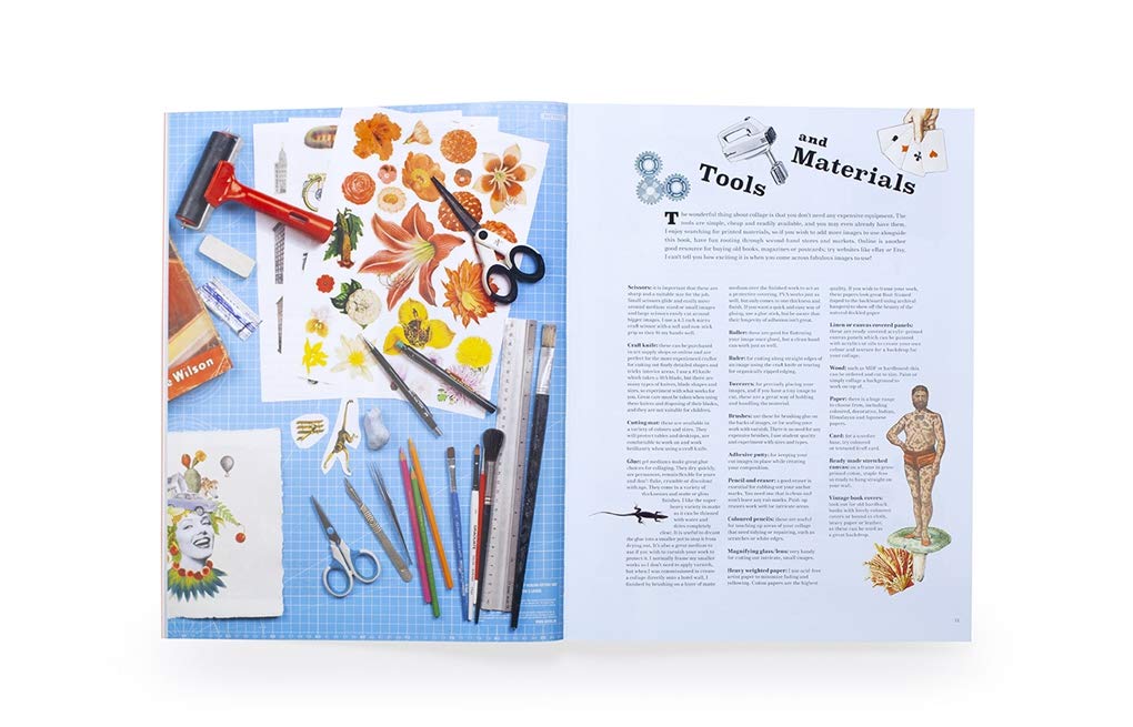 Extraordinary Things to cut out