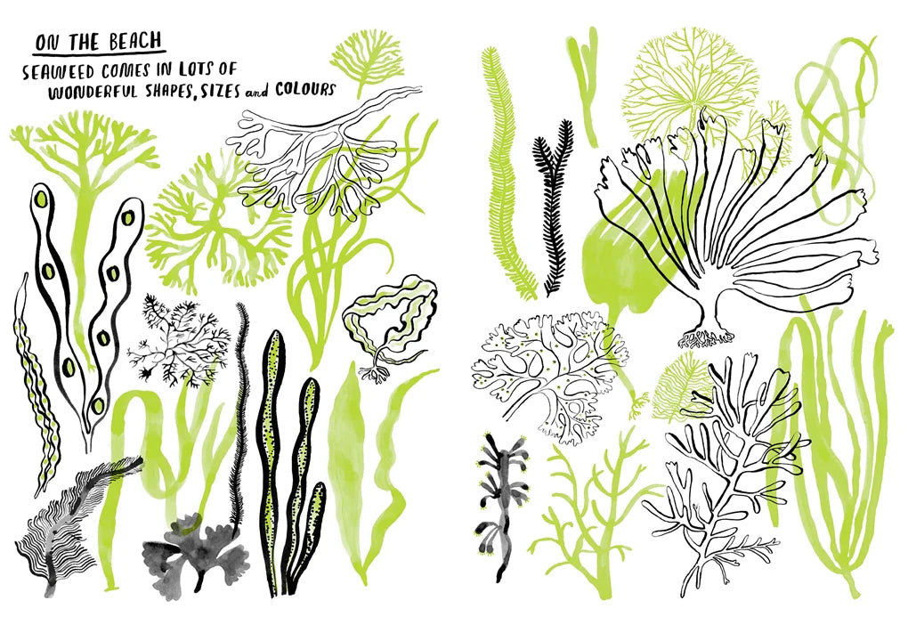 Hello Nature Activity Book