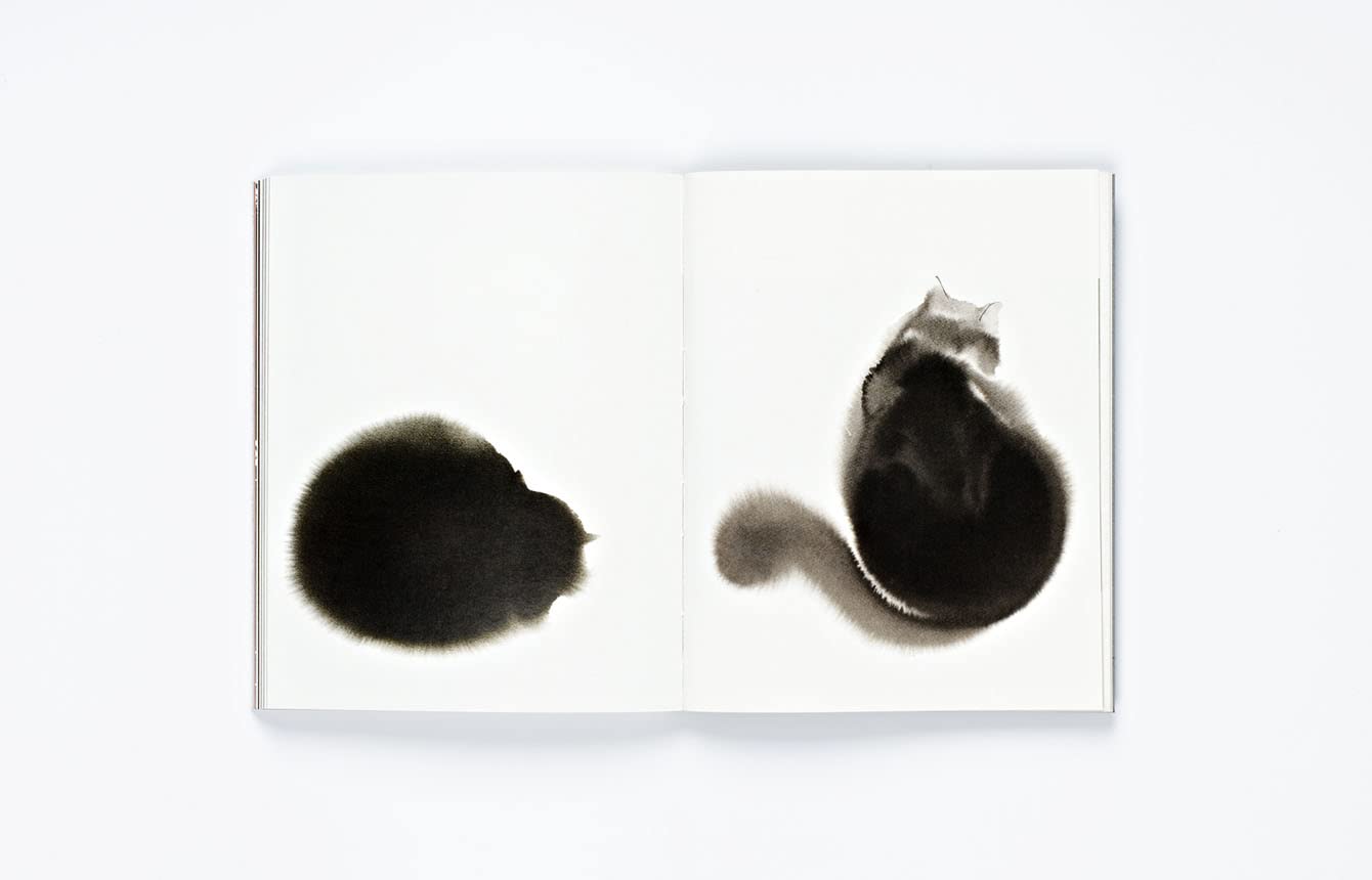 The Book of the Cat
