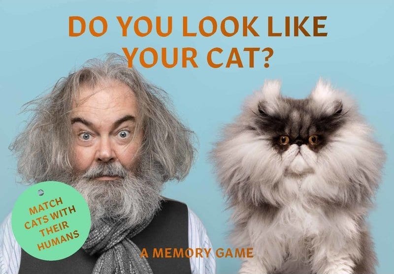 Do you look like your cat?