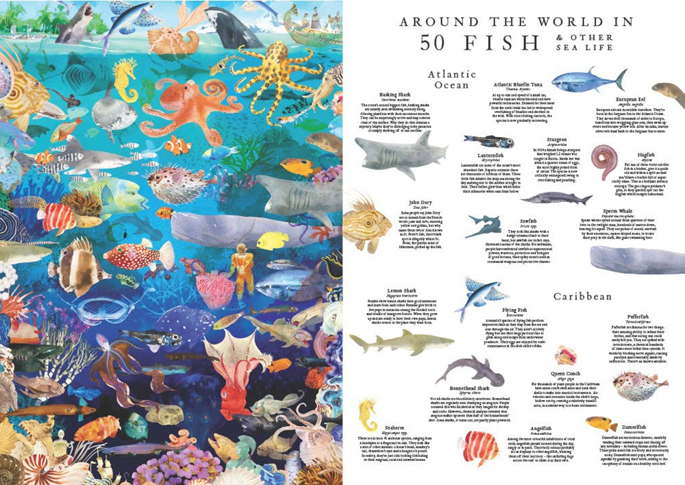 Around the World in 50 Fish