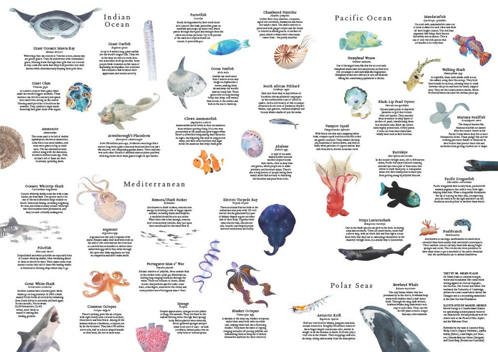 Around the World in 50 Fish