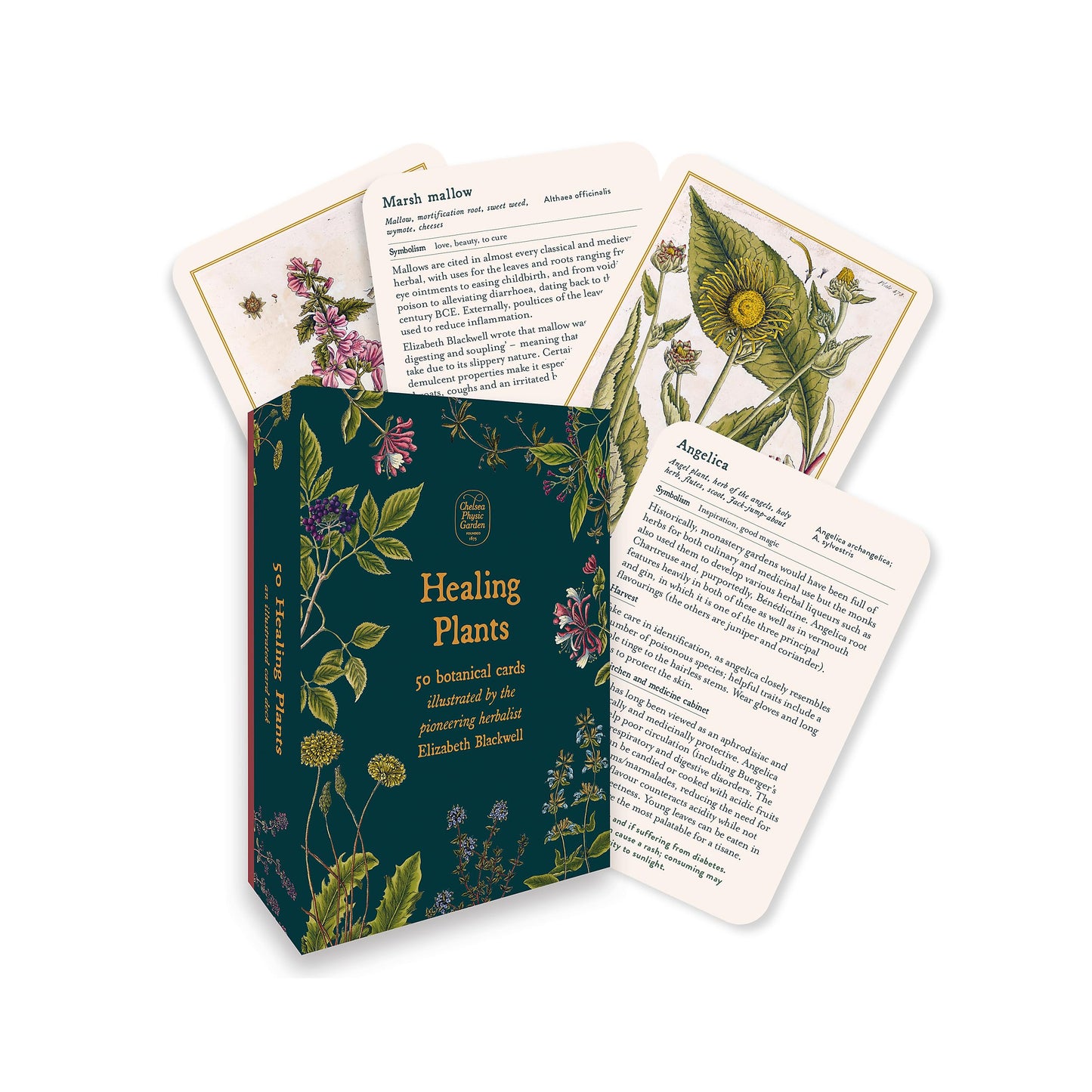 Healing Plants - 50 Botanical Cards