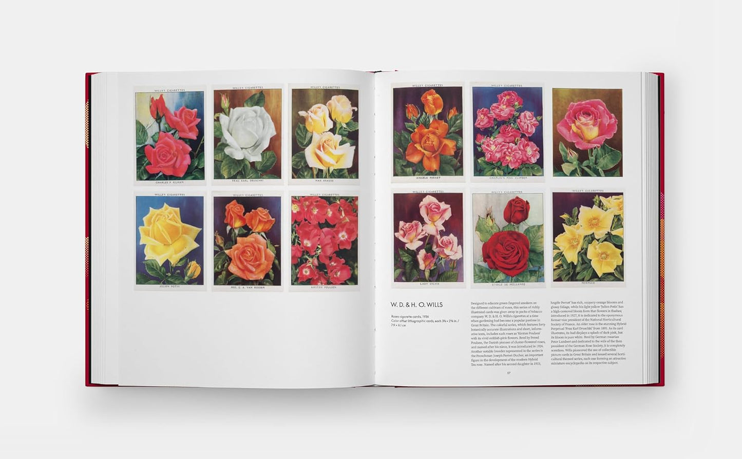 The Rose Book