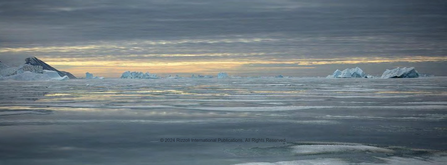 The Arctic