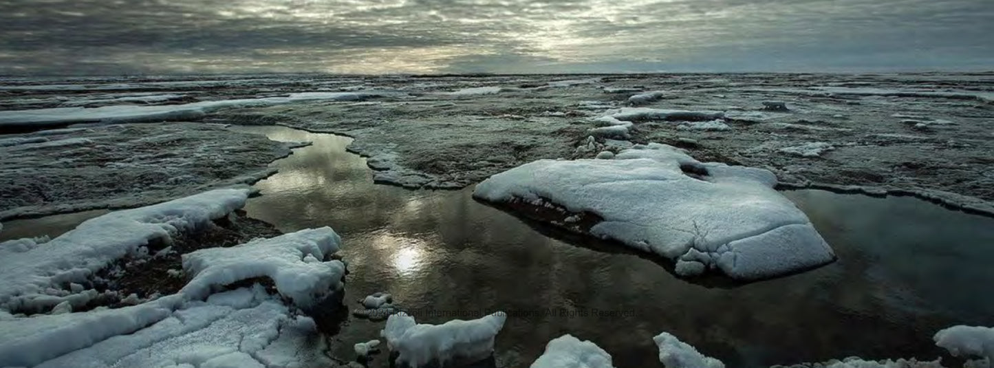 The Arctic