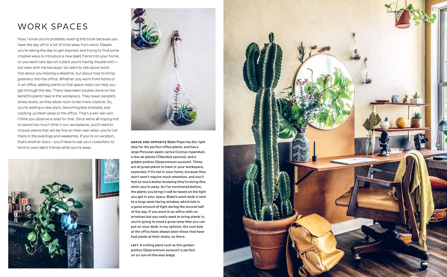 Wild Interiors