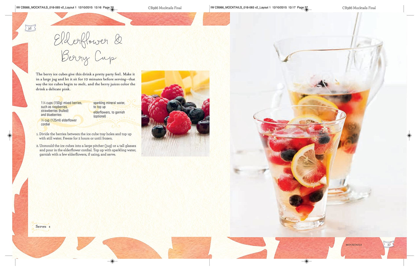 Mocktails - Cordials, Syrups, Infusions and more
