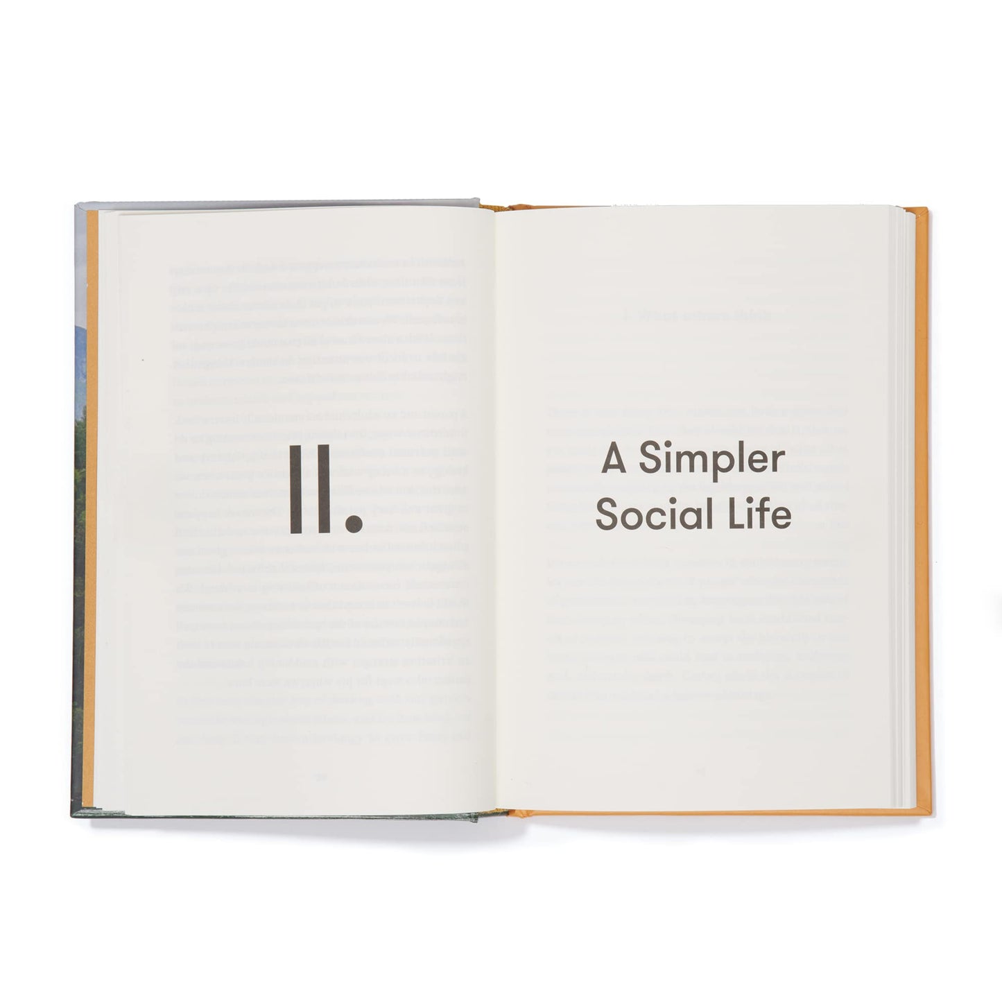 A Simpler Life