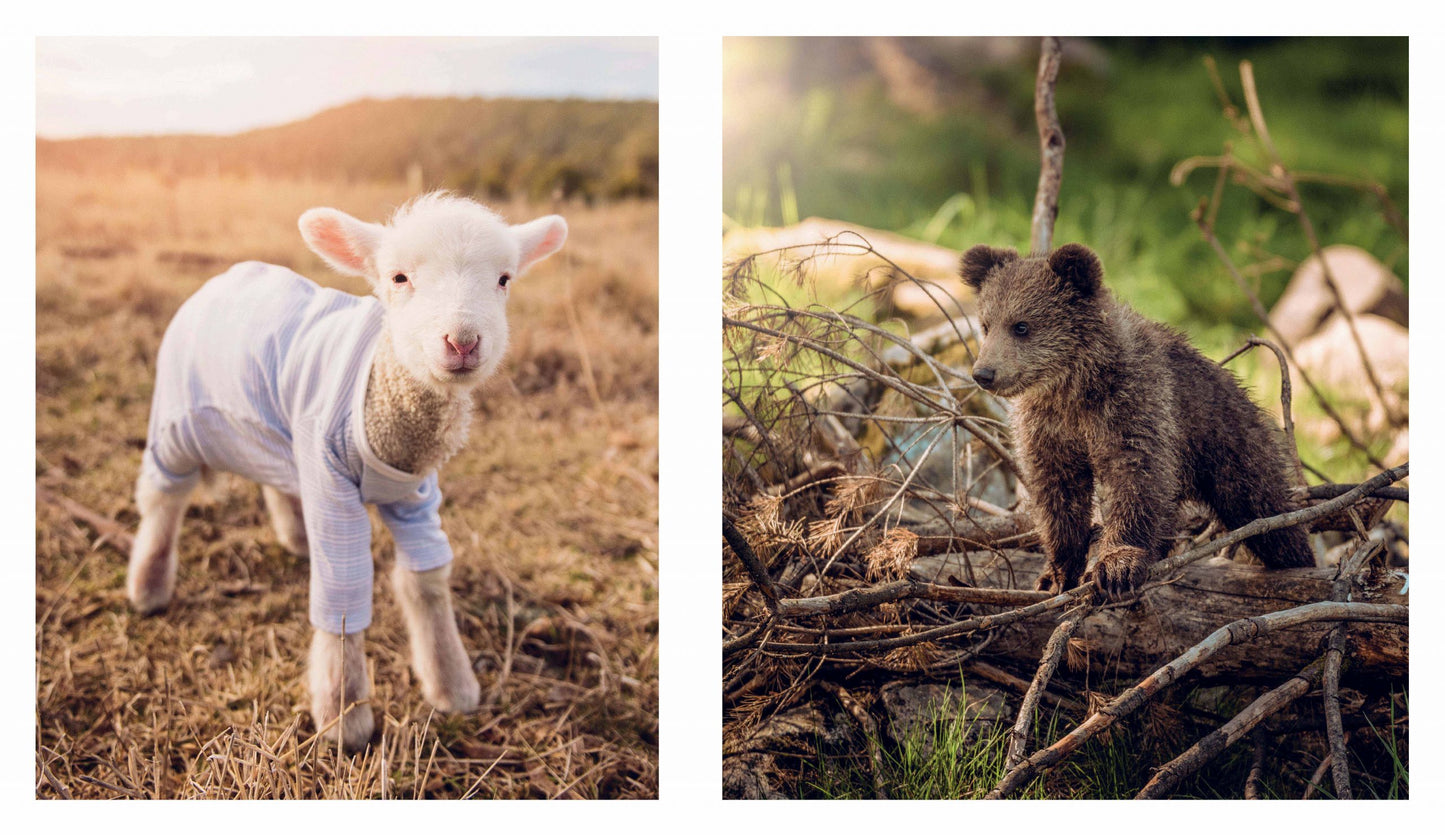 This Book is Literally Just Pictures of Tiny Animals That Will Make You Smile