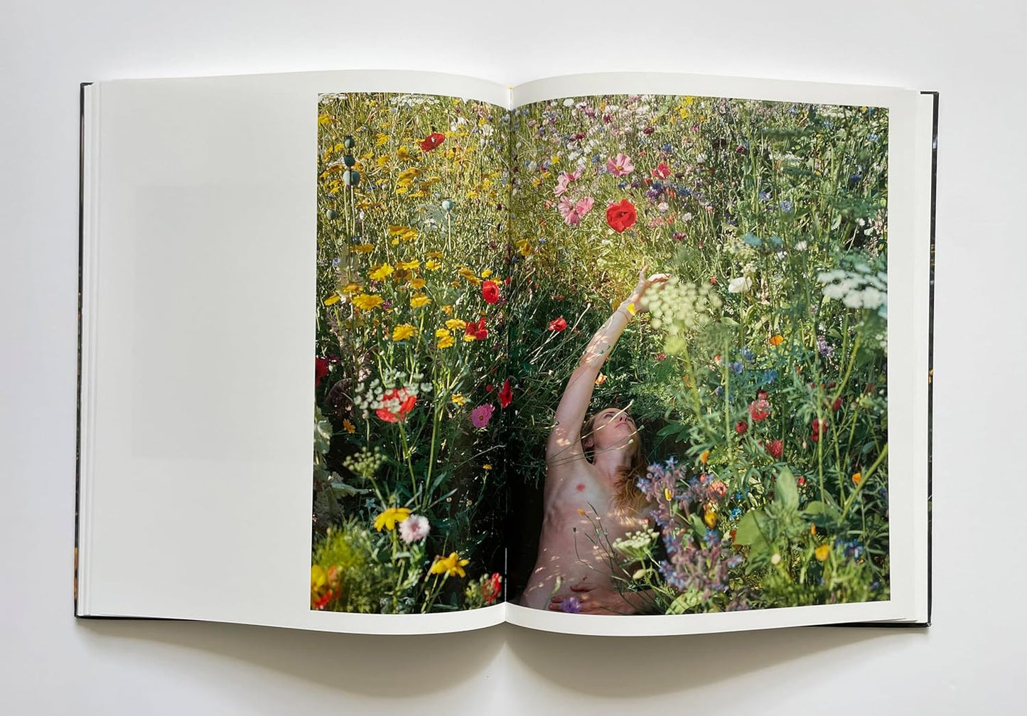Siân Davey - The Garden