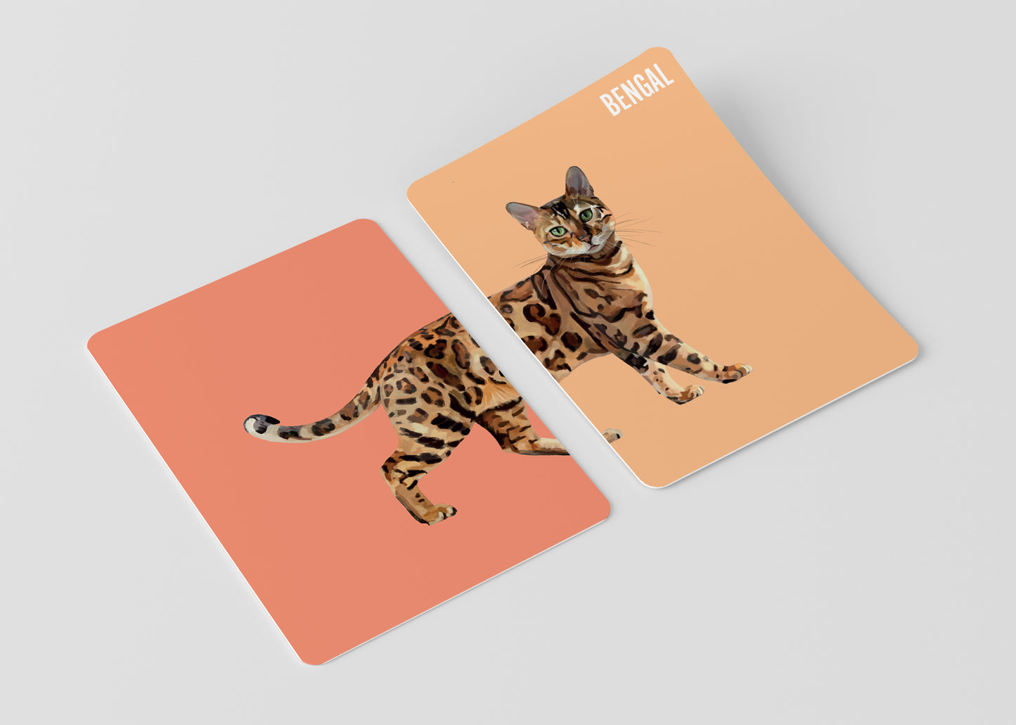 Heads & Tails - Cats