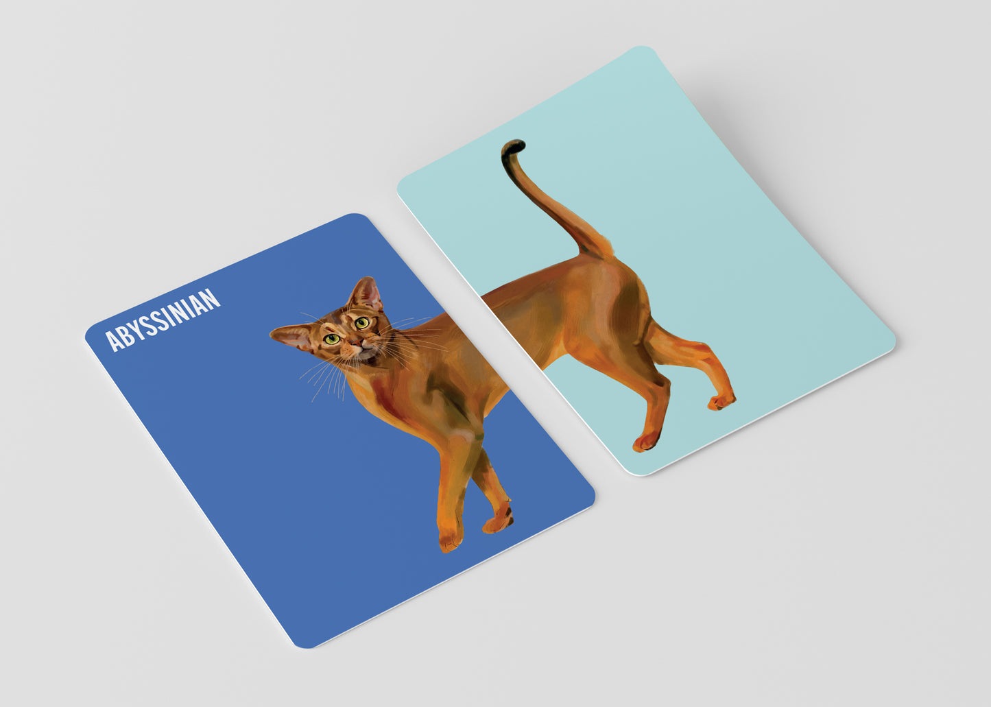 Heads & Tails - Cats