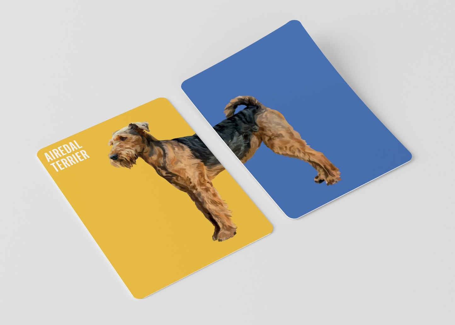 Heads & Tails - Dogs