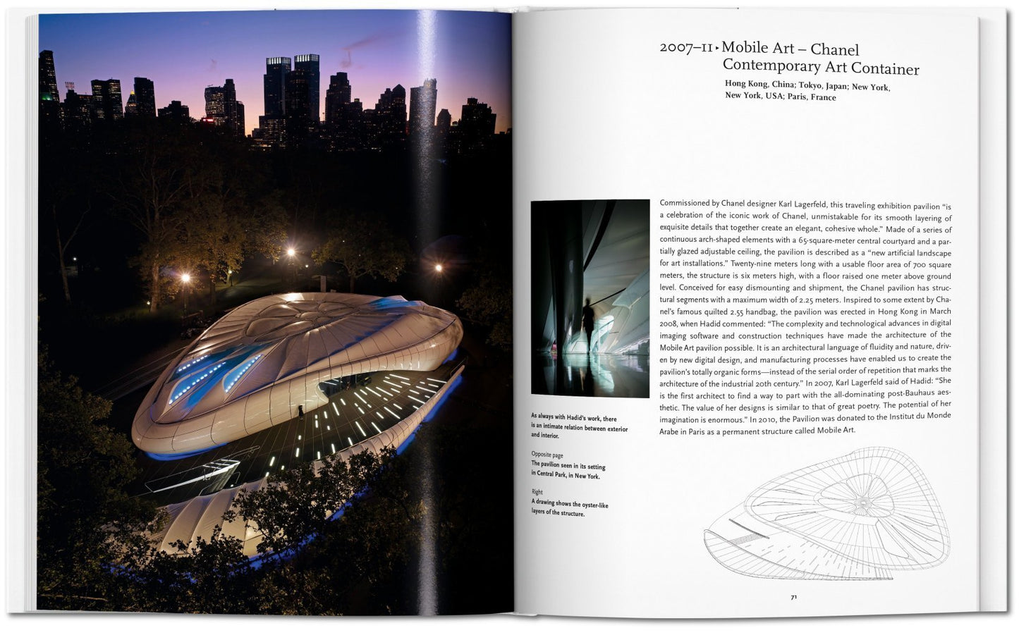 Zaha Hadid - Basic Art Series