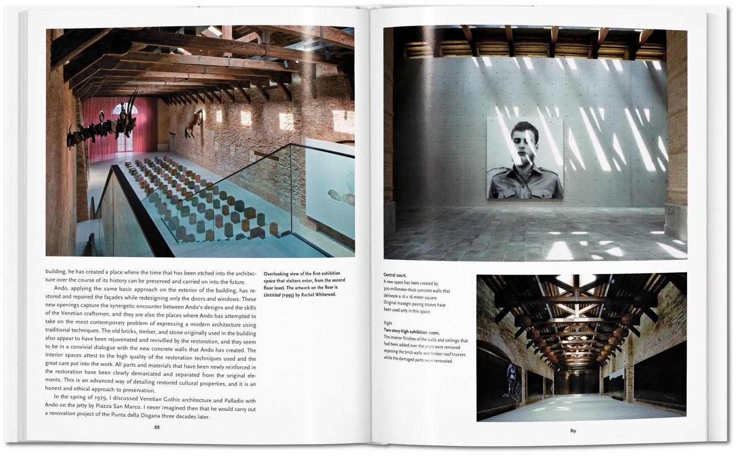 Ando - Basic Art Series