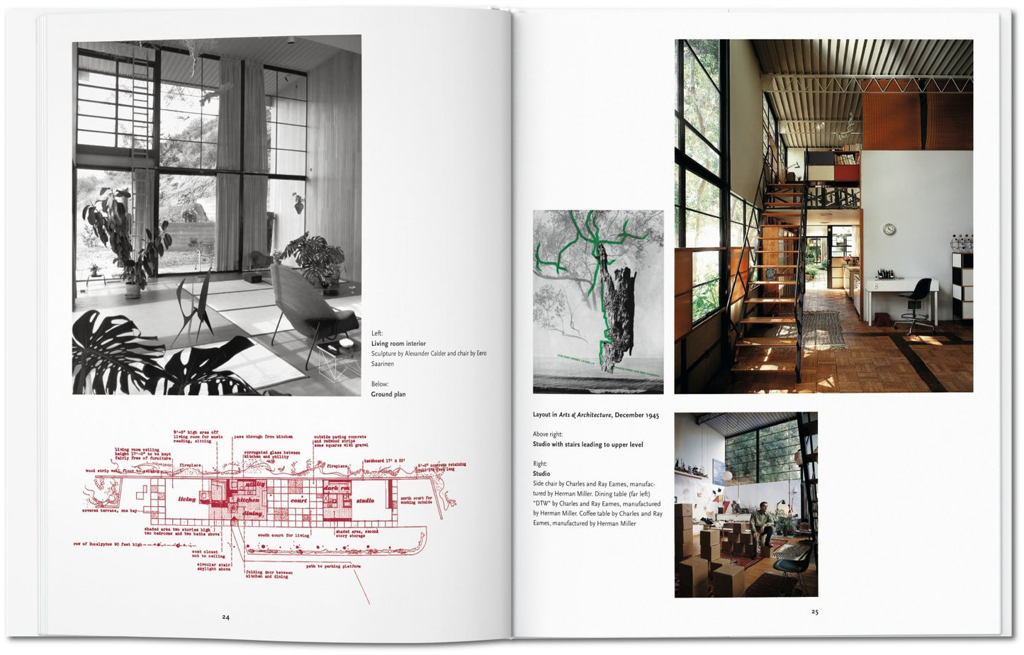 Case Study Houses - Basic Art Series