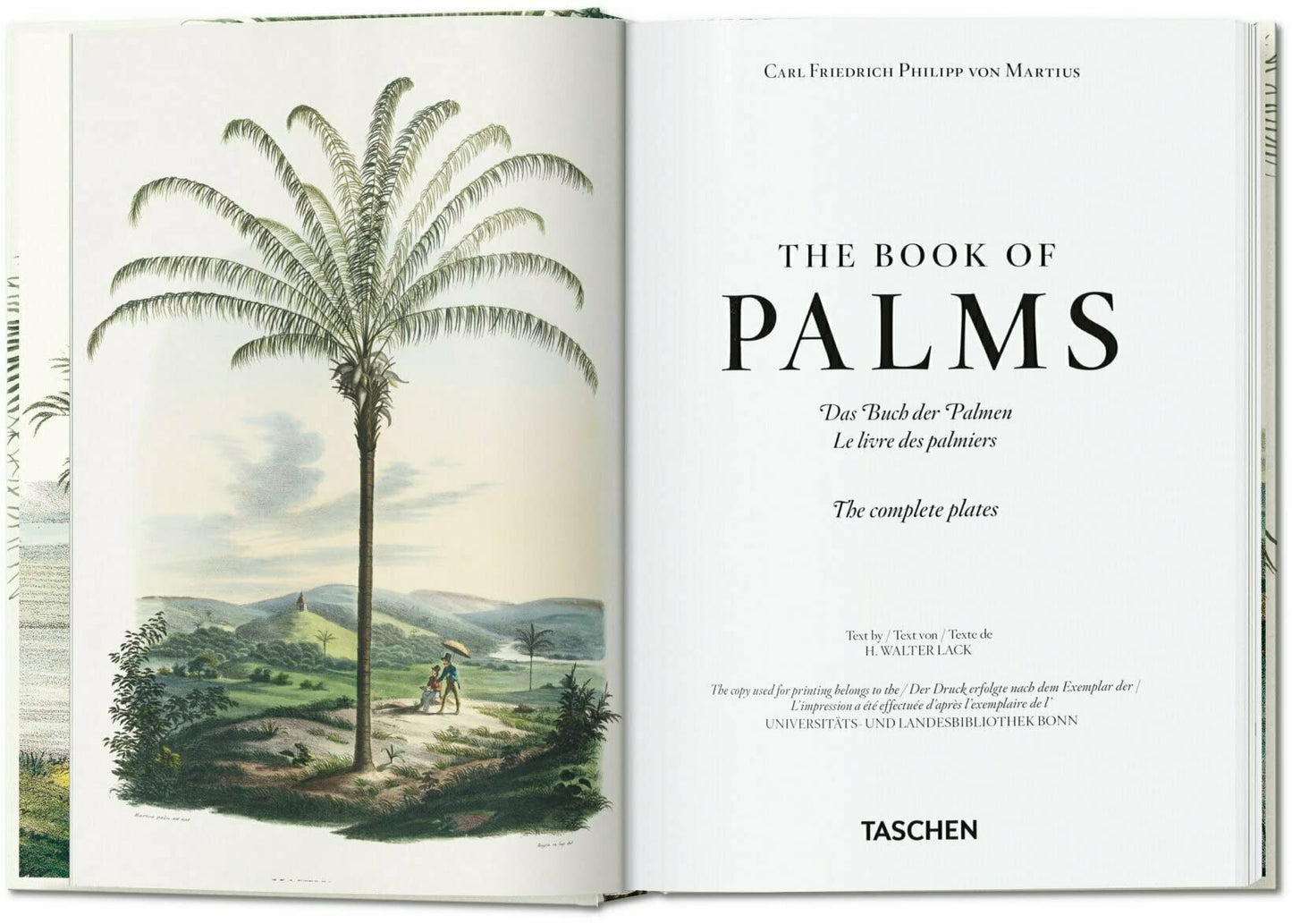 The Book of Palms - 40th Edt.