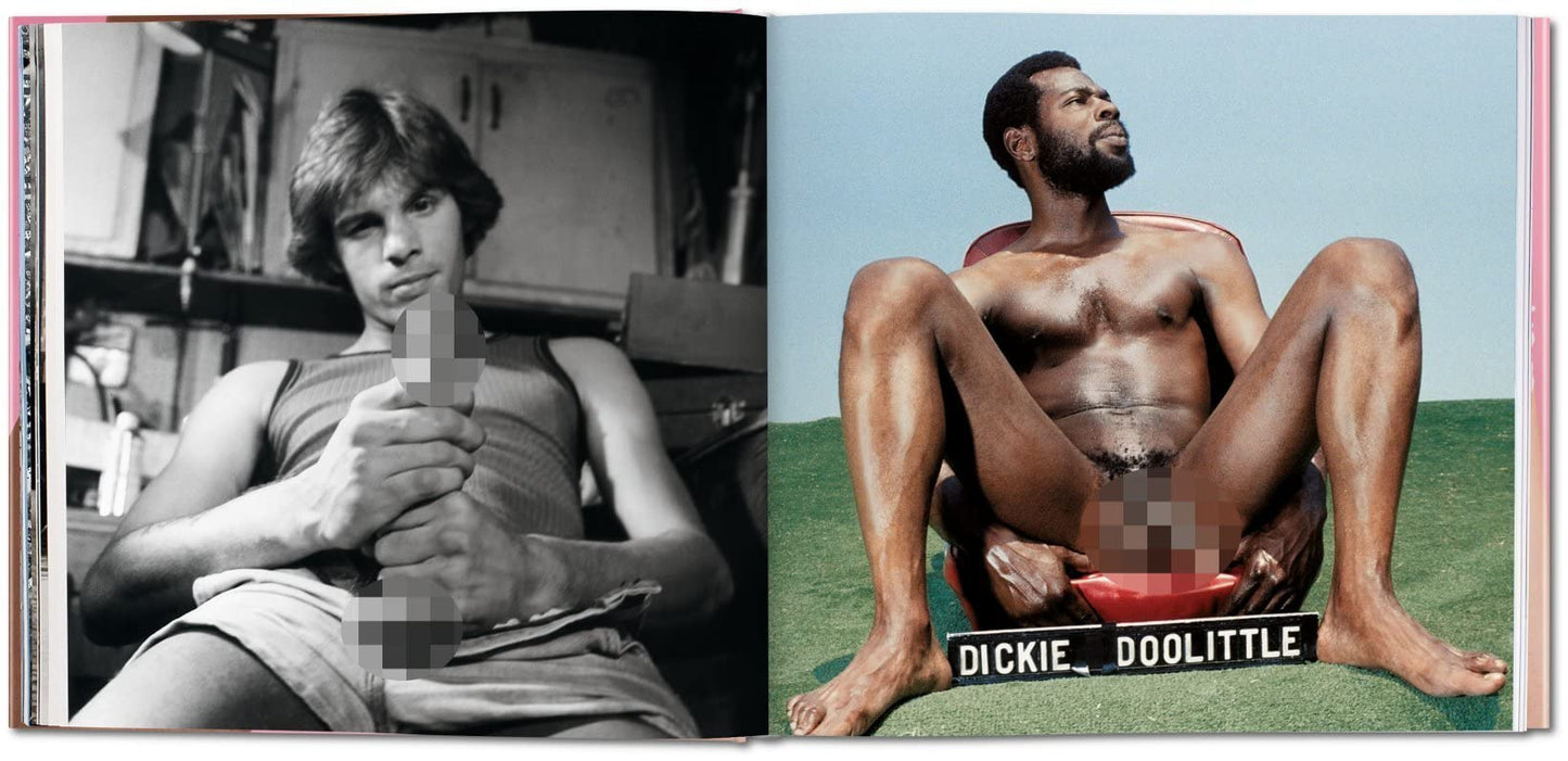 The Big Penis Book