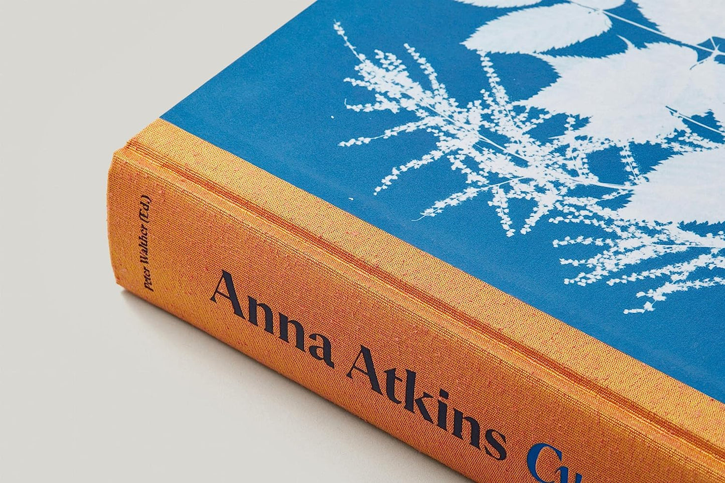 Anna Atkins - Cyanotypes