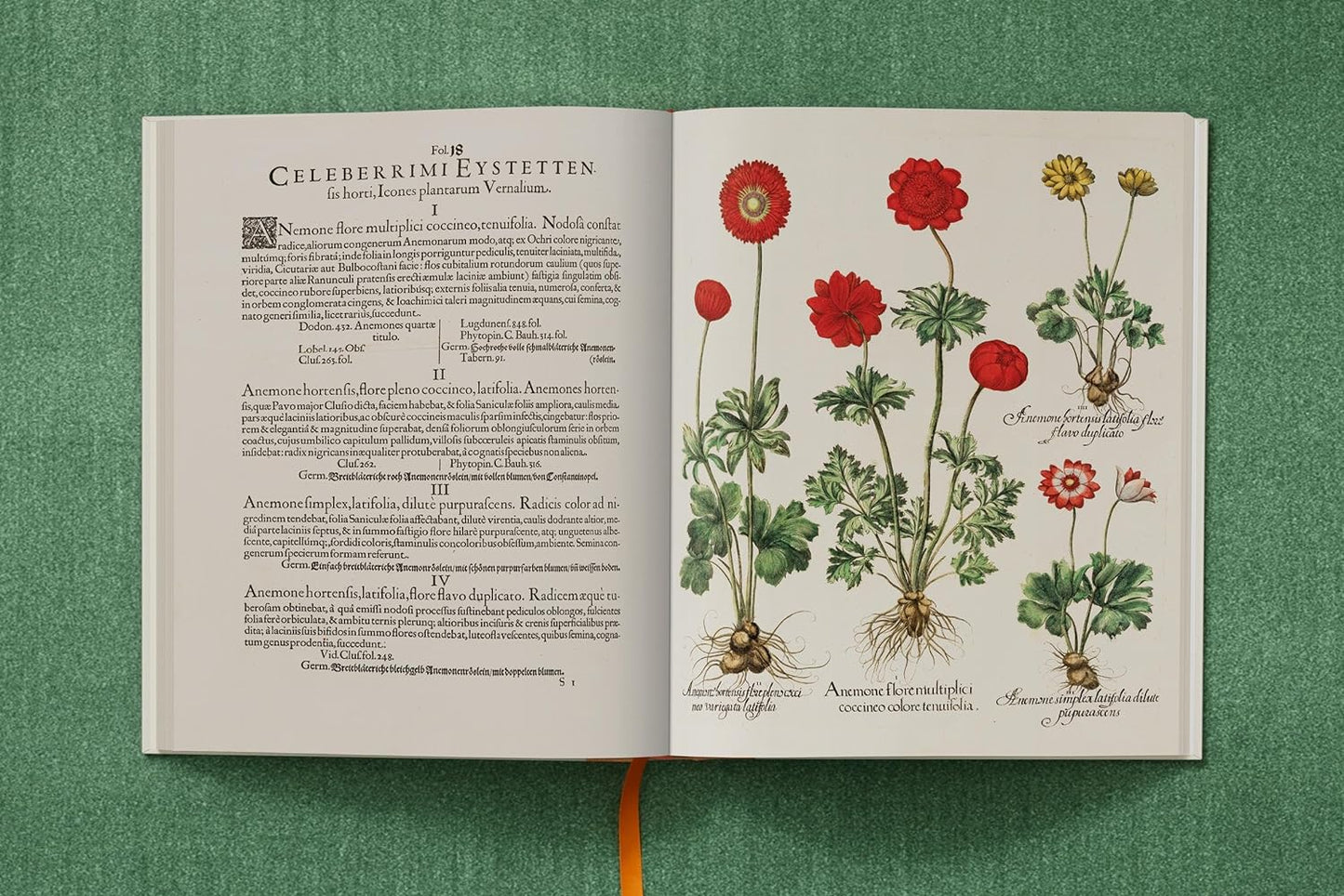 Basilius Besler. The Garden at Eichstätt