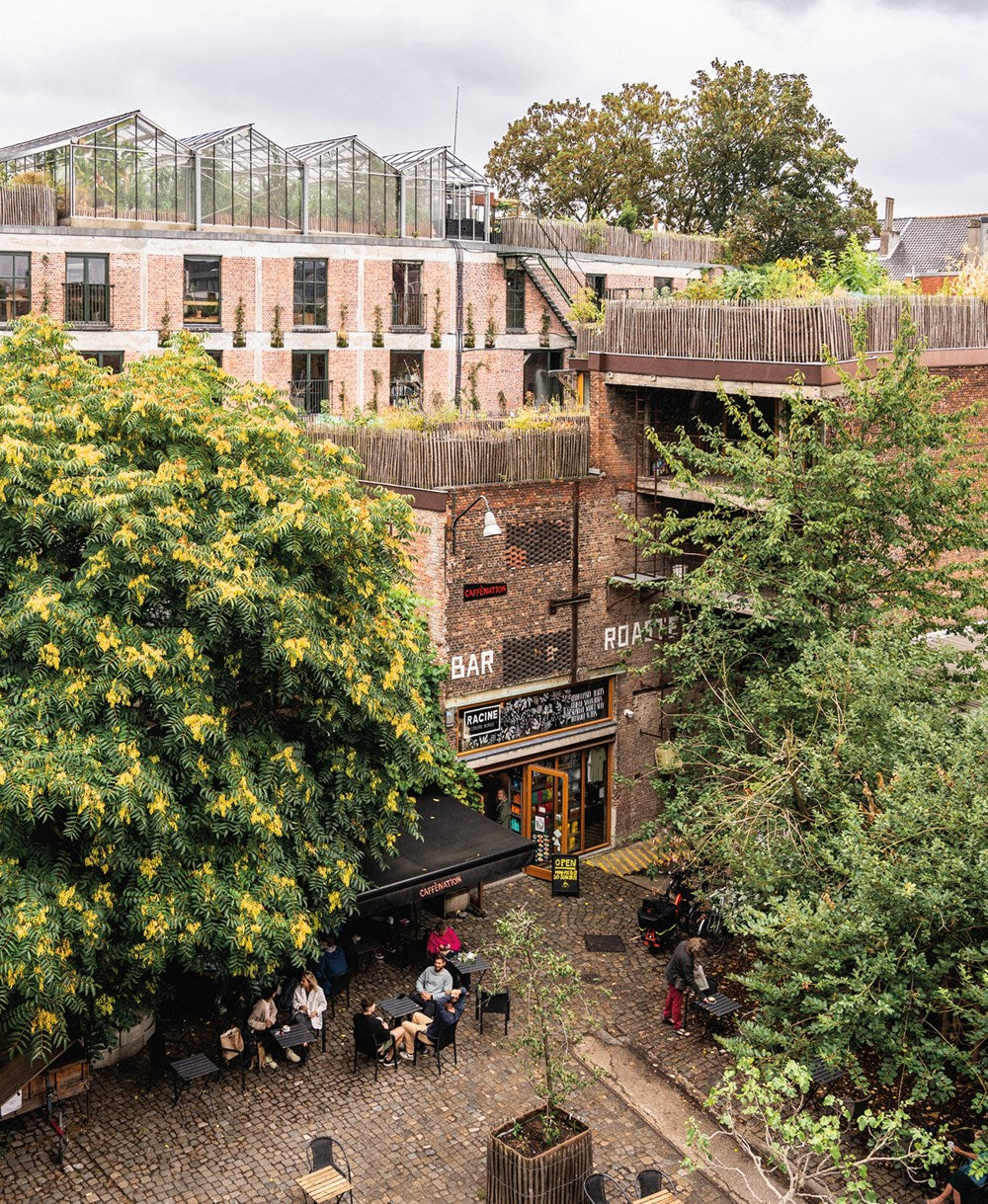 Urban Oasis: Parks Green Projects