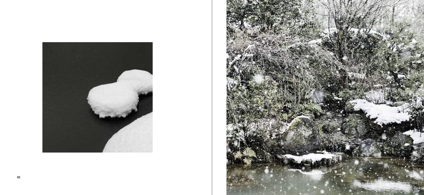 The Magic of Japanese Zen Gardens