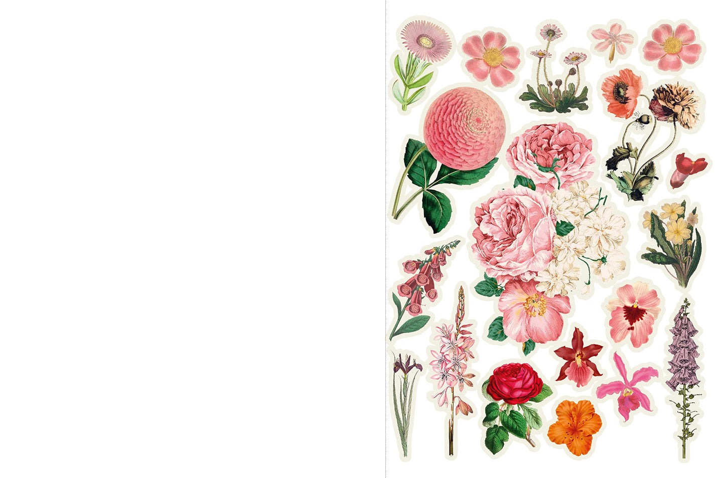 Cut Up This Book and Create You Own Wonderland