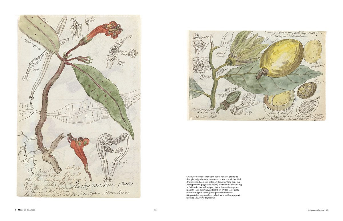 Botanical Sketchbooks