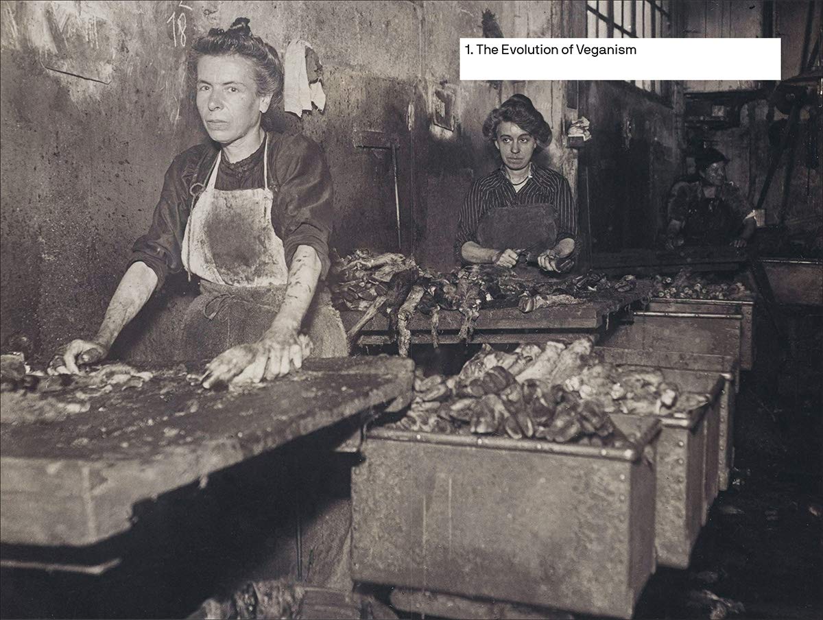 Should We All Be Vegan?