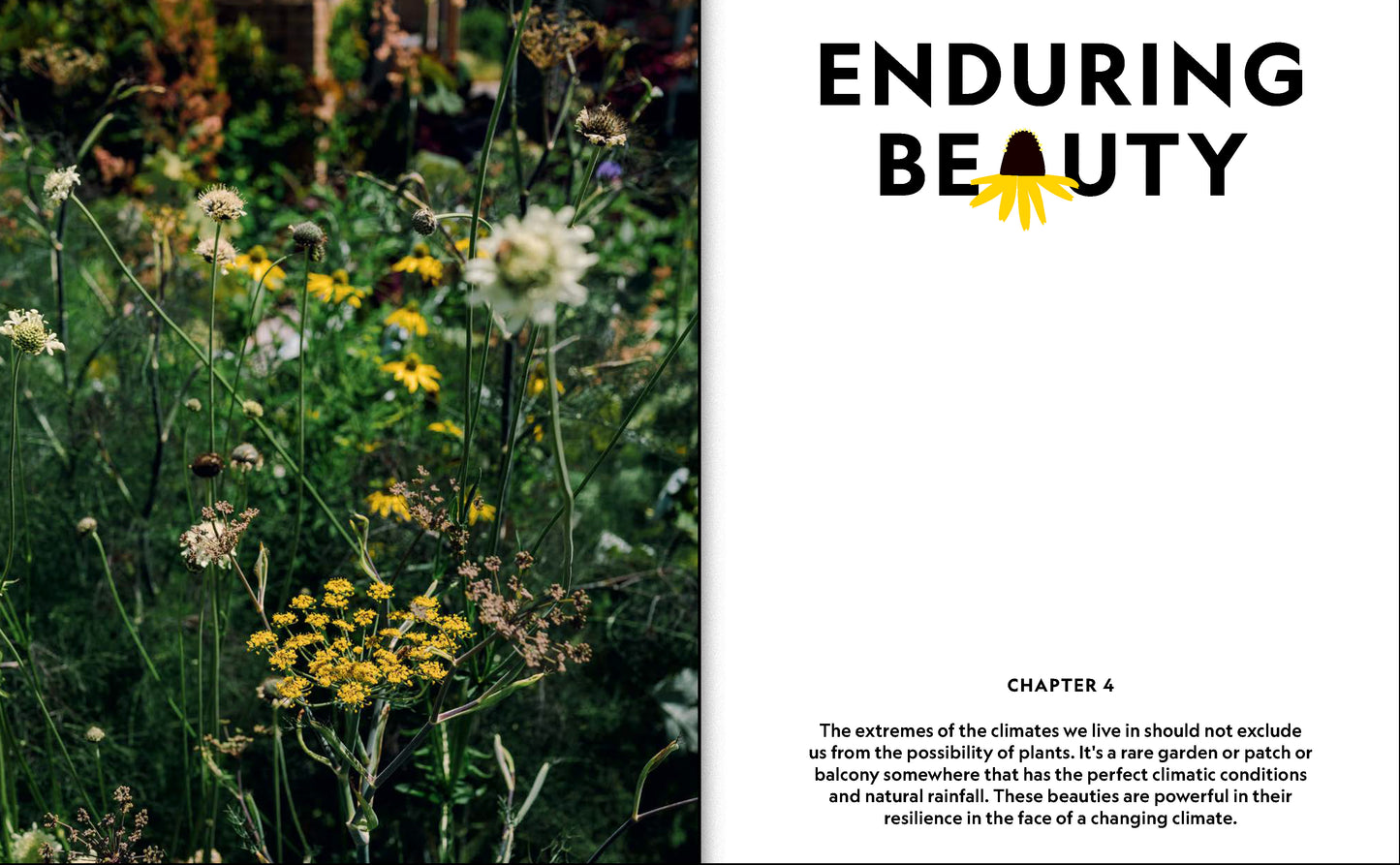 The Super Bloom Handbook