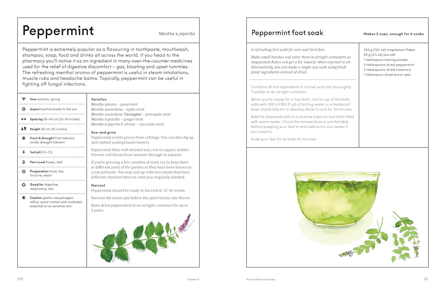 The Medicinal Garden