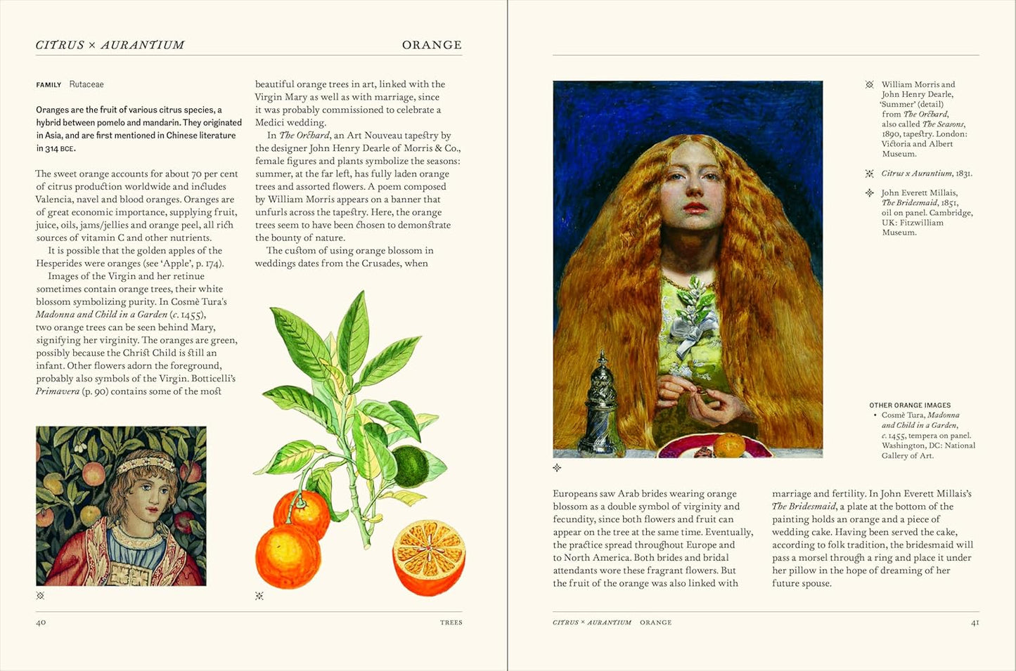 The Secret Language of Plants Art, Nature & Symbolism